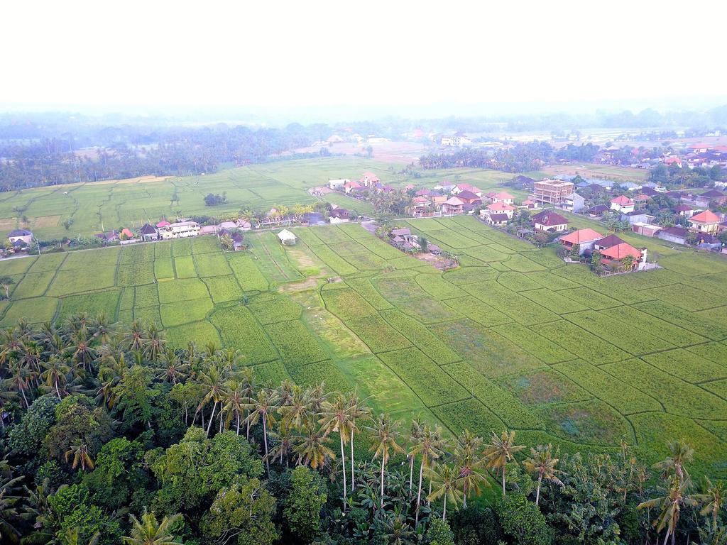 Pangkung Sari Hotel Ubud  Luaran gambar