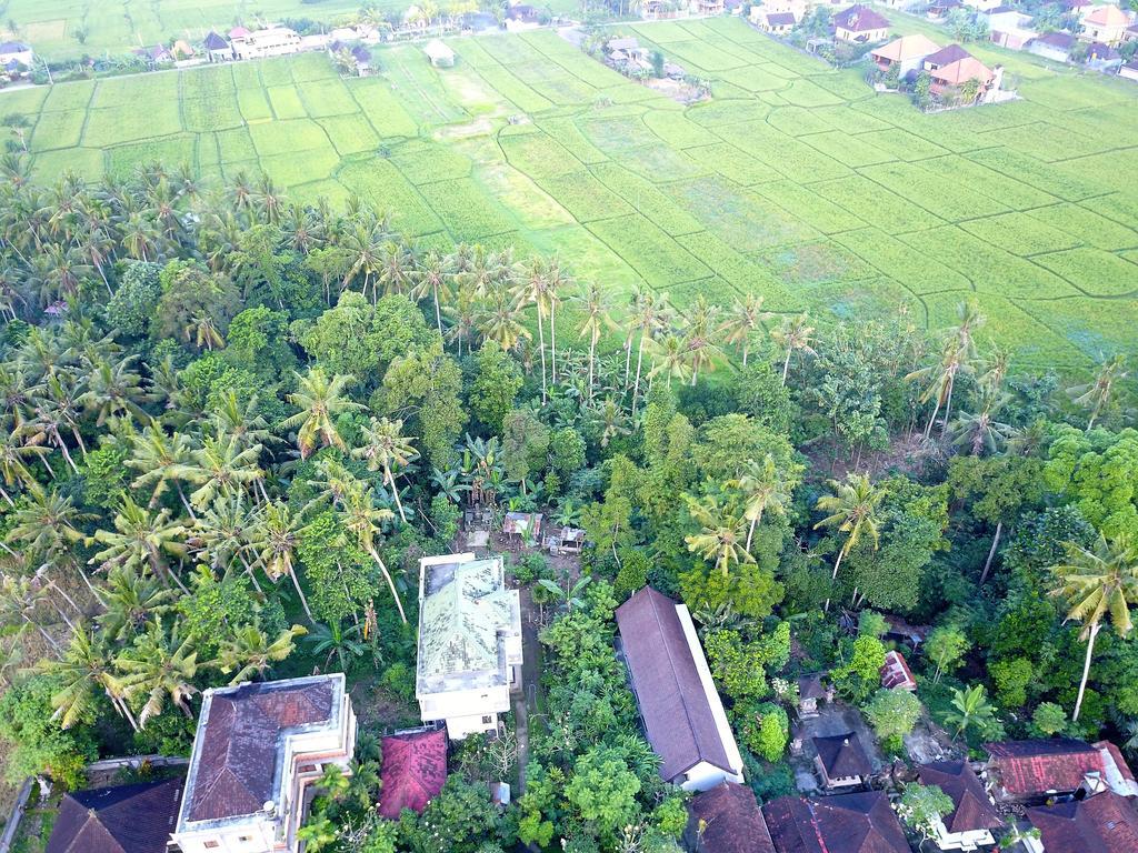 Pangkung Sari Hotel Ubud  Luaran gambar